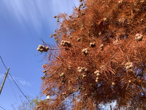 01827308-5FF9-4F9C-9060-9E16FF6490F9