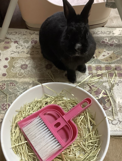 9C3E3FC8-4A2F-4AA7-8F06-D1F5173A3C17