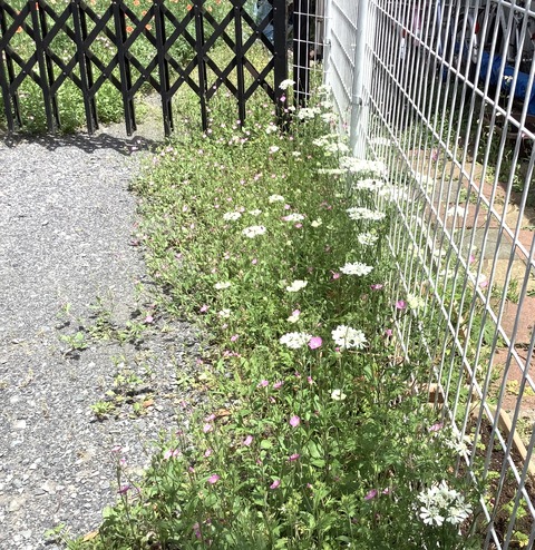 81022627-054A-4D37-9302-D3F45910F1B6