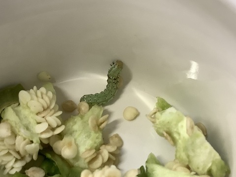 E23C9064-5E57-4865-B810-722972E6665E