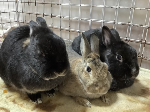 541CD7C8-D906-4E4E-8796-868269FD036D