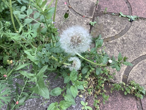 57BED546-9A1A-489F-B16C-F56069A46B4D