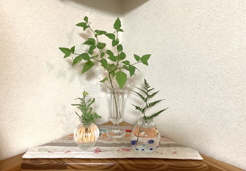 DB37C883-9FF9-4970-A668-33C243E25047