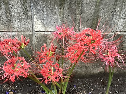 21B96A12-203A-434A-9883-A8E6DDC9EA5F