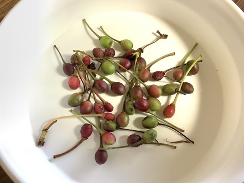 684A9EFF-0F4C-483C-BB99-57E71375C01C