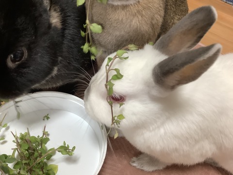 49185E82-EA4D-42E0-B1D5-7218FB362657