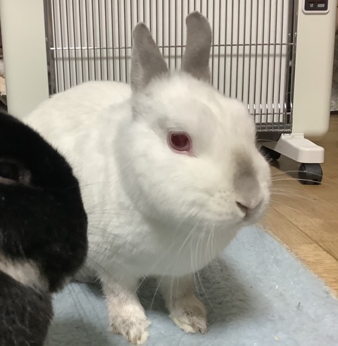 05A1AA61-0968-4594-A11A-CD161C365CC8