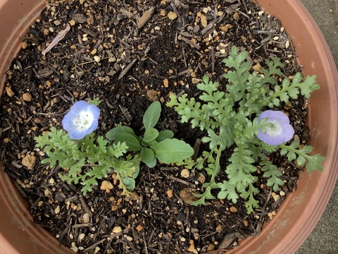 95301042-66A9-431F-B9F6-C1C343573ABC