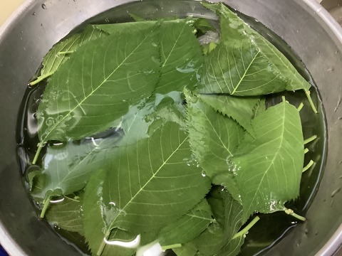 D6B0A737-D052-4164-9265-E4EB8B033070