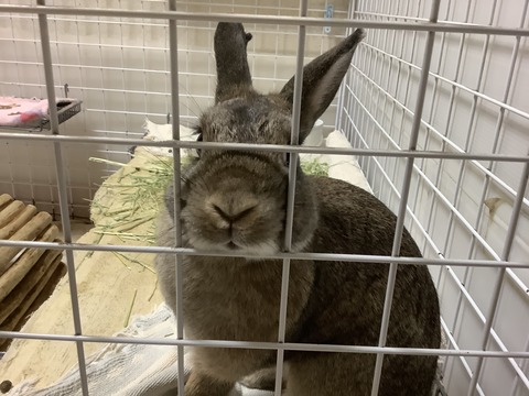 A0D9F952-34D8-4F8C-807D-4F7555BD8E40