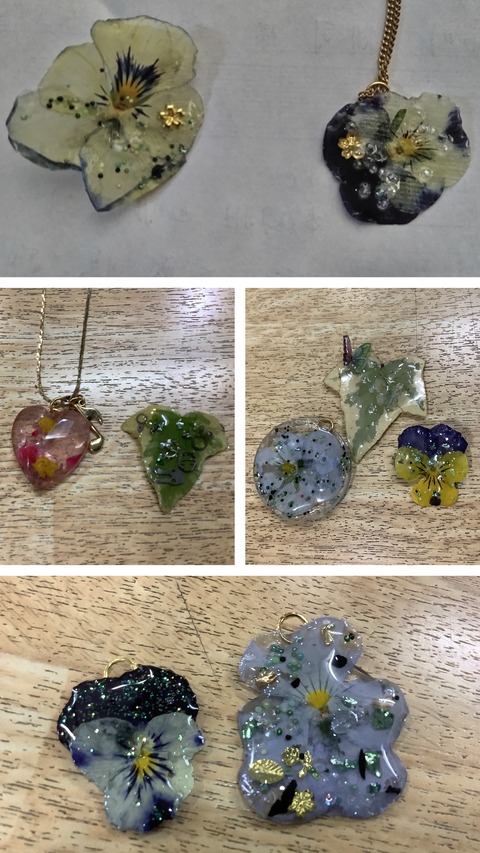 BD434D81-144B-4381-8DB4-E01F3B4F46E7-COLLAGE