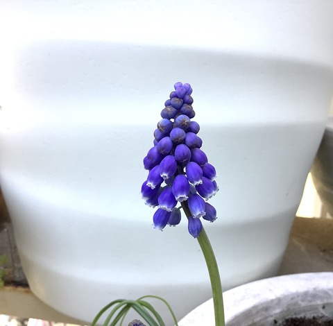 1270BF71-67B9-44B9-8513-11B2DB9737C5