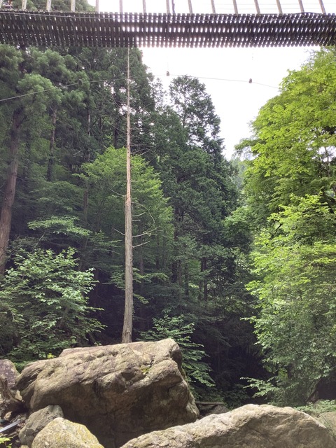 439E2AD9-AC6C-445E-AAAF-BAB12760E73F