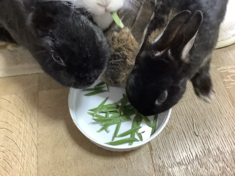 7368F8C6-A8A1-4C45-8C27-6A8F4D296EE1