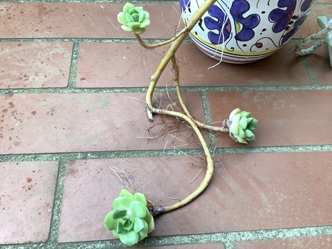 5EB716EB-53F6-4D7F-8A85-23B1FBFB08DD