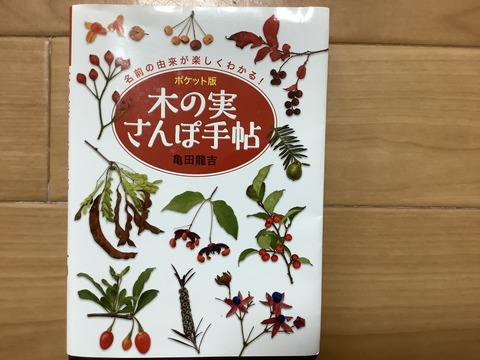 24F0C72C-4972-4E64-ABF4-16384BC70FBA