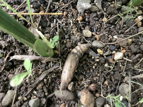 0210EB00-28C8-4693-9926-10328C3D240C