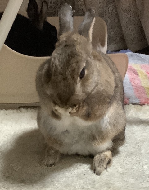 D962B81A-AC21-4A26-9932-31C30A6FF839