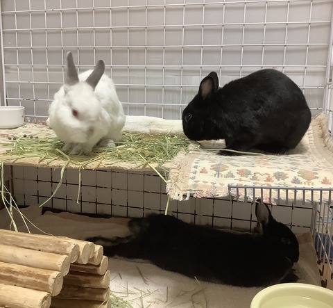 16E72524-8F35-4A58-BABE-B89DBA7E901B