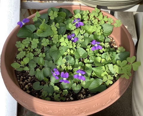 3A10B02D-4654-430F-AF38-5ACDA81F3F3A