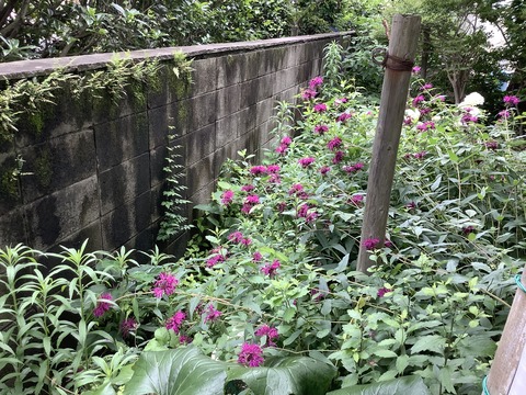 F5792971-B215-4B7A-BD9F-9BCE3230EB3B