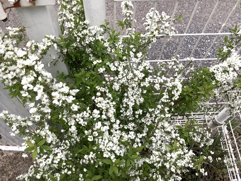 10896C6C-1BB8-4F65-8148-58ABB388143D