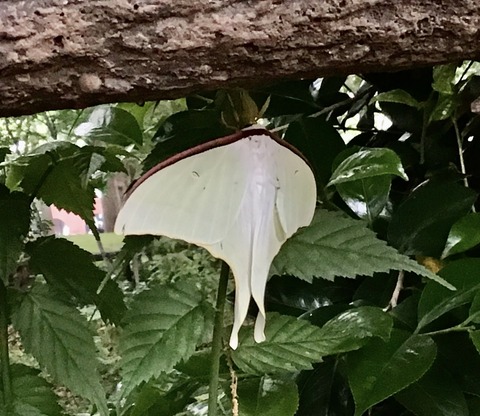 544F4EB5-8FF6-4DD9-B017-FCE388BC3643