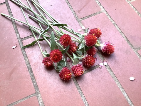 578A45D0-A40A-4C85-BE47-9D5F6845A595