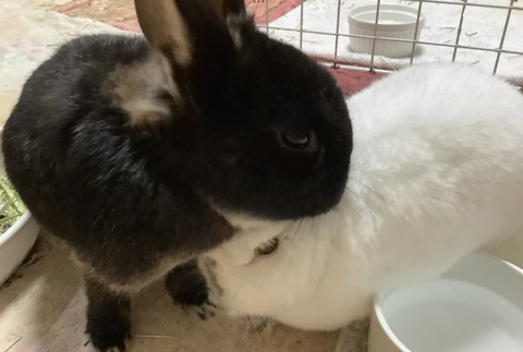 07552149-BA2D-462F-BB3F-B855F5F6325F