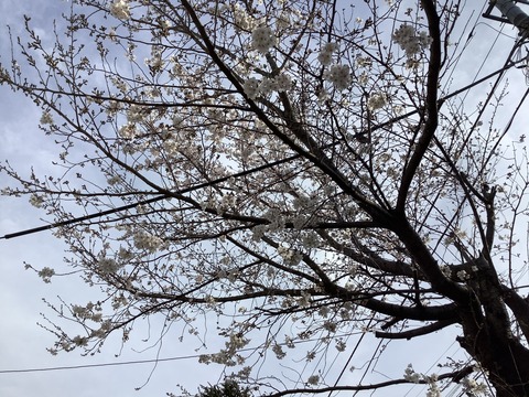 921CEE13-F49F-484D-BFFC-1E6C649D37DF