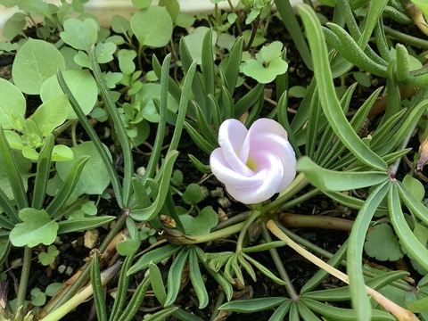 1D99E8AA-1192-4885-AF3B-4AF596EFECE0