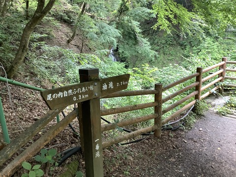 9F6C0C47-2772-4012-8D0B-0D71F06F7E33