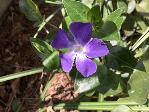 89B9A79D-4565-4EFD-B04D-305E1934091D