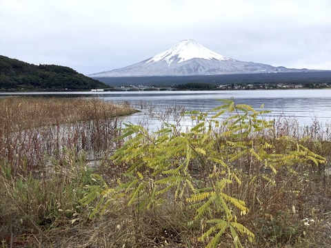 A74B2798-DC38-48EB-AC25-B25A6711D3CB