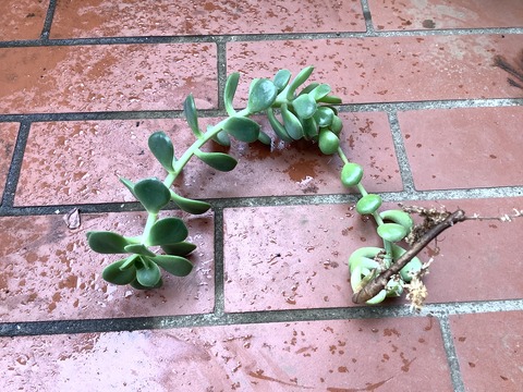 C78DC2F2-7FD2-479B-95E2-7A1BC3E49087