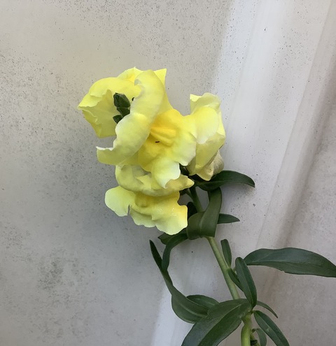 FEB2F897-0FD2-4DEB-8217-12AEC9CA0659