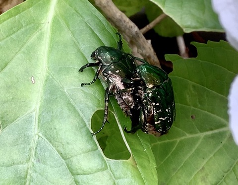 417B774B-D42C-40C8-A862-627590126D9A