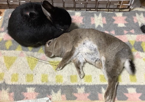 6748F6DF-A8A8-4EE6-B548-B8B9205E307C