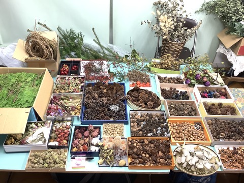 451310FA-E502-4308-A445-E2CE4EAE74E7