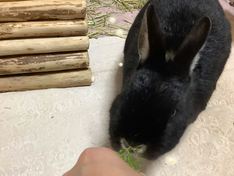 11D6A164-B5A3-40C3-B6F0-37B0FCC2CE29