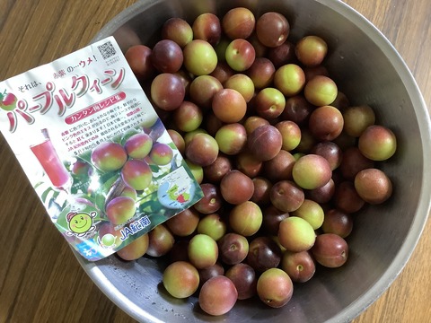 DC0EB017-4A94-4AE8-B583-112EFB0C02C9