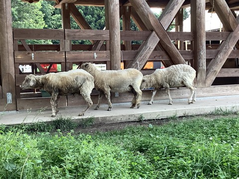 03220D8E-DF8E-4ADE-9F4E-8FBA77C4C17F