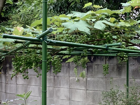 AD40BFE4-4721-44D1-9358-7E92C05D84D1