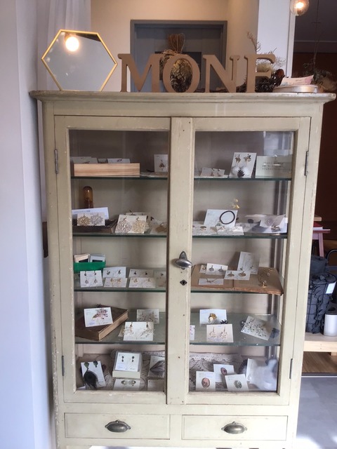 15E57587-2503-45C9-ACE9-167FBC0745FB