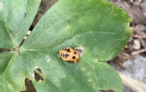 26EC8E74-F862-475E-AFC9-2B8EBC46CF26