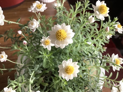 398ED8DC-CF92-4B7D-A973-080938D05C95