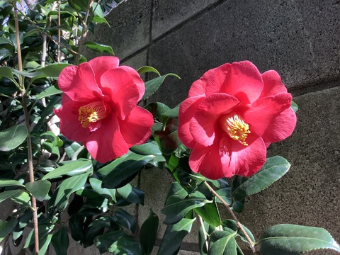 CB80F397-0ACA-4FD8-8BF9-55586720E6B4