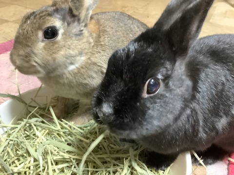 947126AE-2762-4303-A6C9-CC2E3A358354