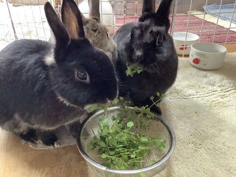 10C90333-A600-4D98-B459-0270043FE998