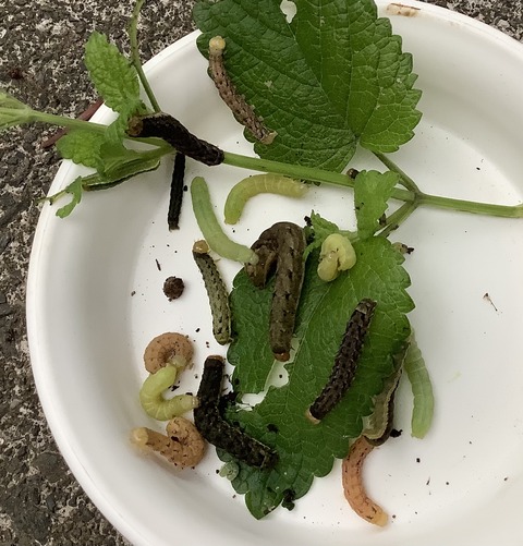 F8D93598-C271-4A44-8C67-D4B684FD8D7E